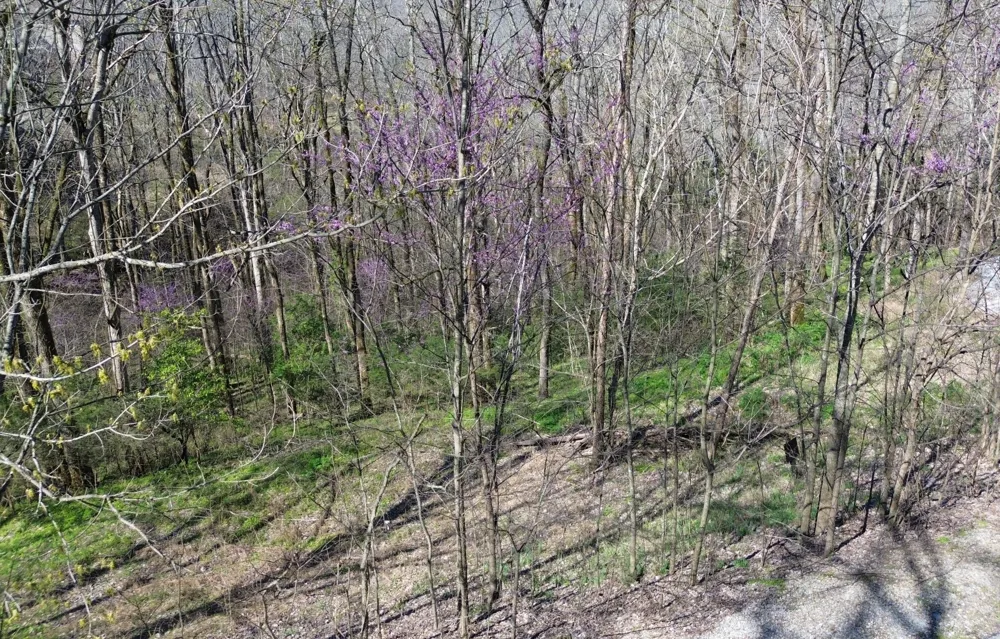 0 Wilson Cir Smithville, TN 37166