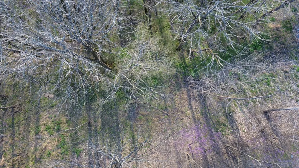 0 Wilson Cir Smithville, TN 37166