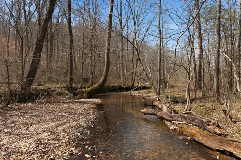 0 Cave Branch Road