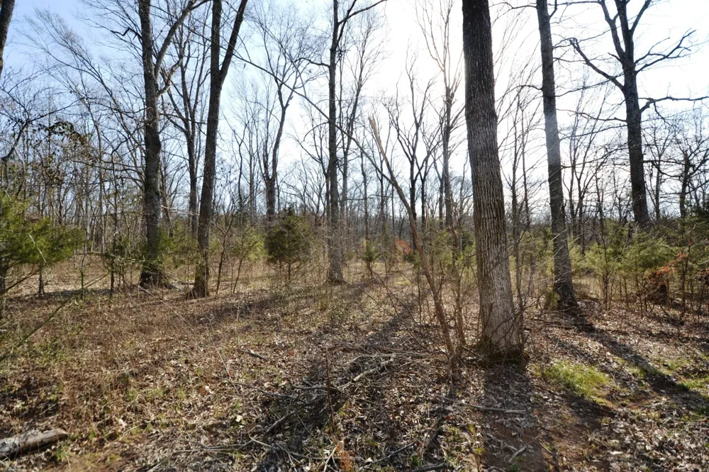 1 Corinth Road Mount Juliet, TN 37122