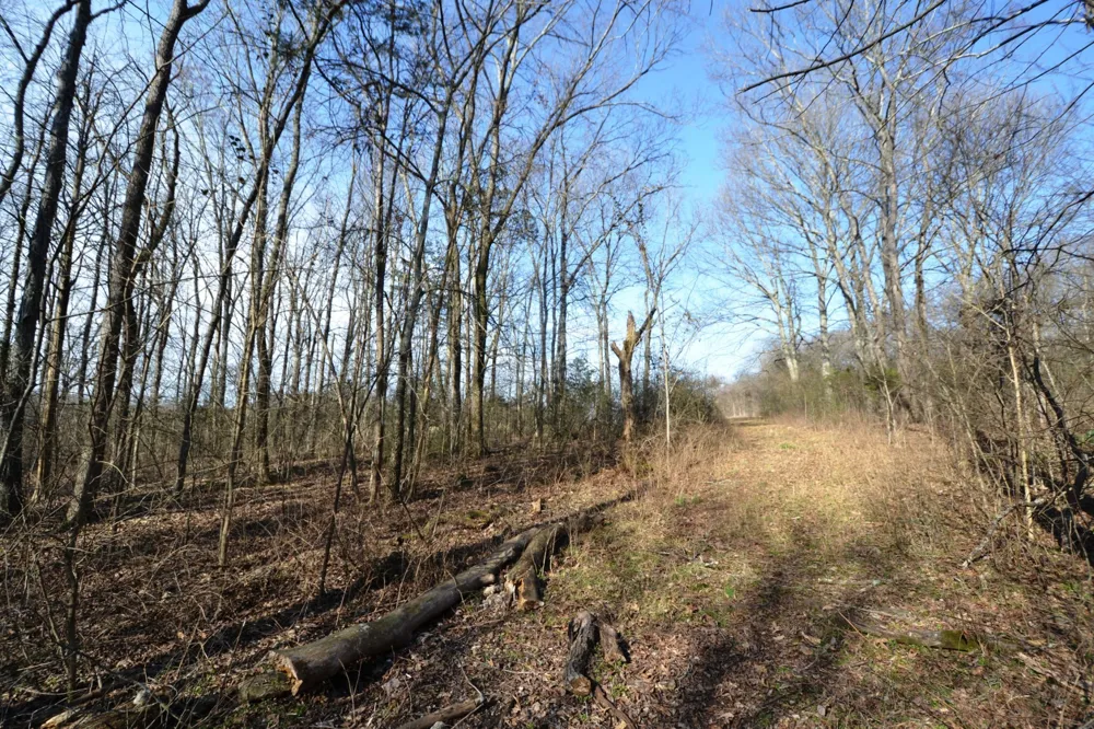 1 Corinth Road Mount Juliet, TN 37122