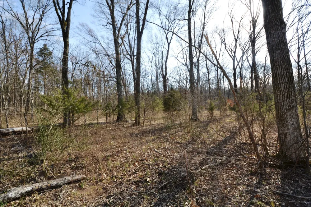 1 Corinth Road Mount Juliet, TN 37122