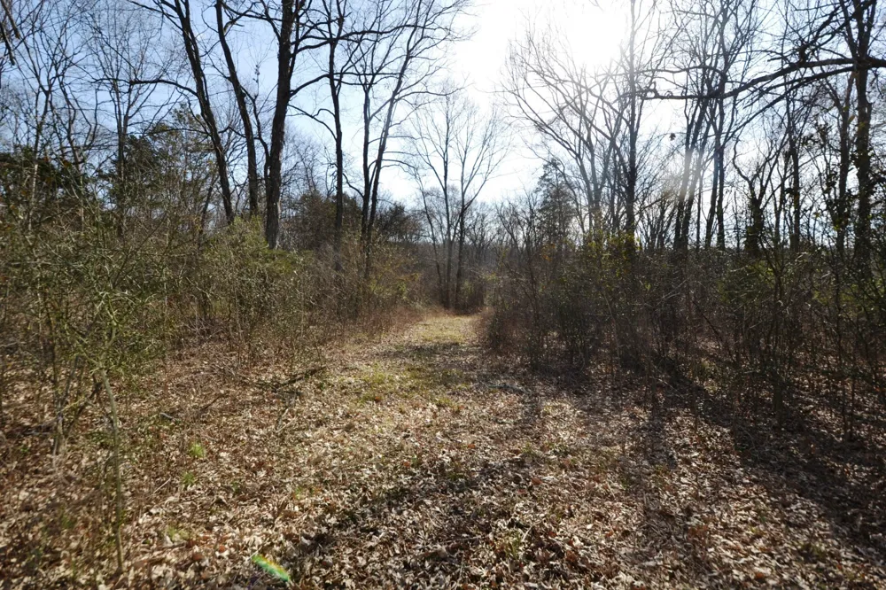 1 Corinth Road Mount Juliet, TN 37122