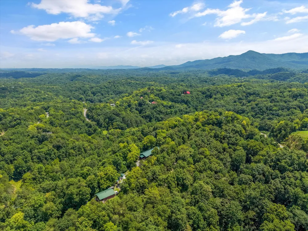 2649 Wildwood Rd Dandridge, TN 37725