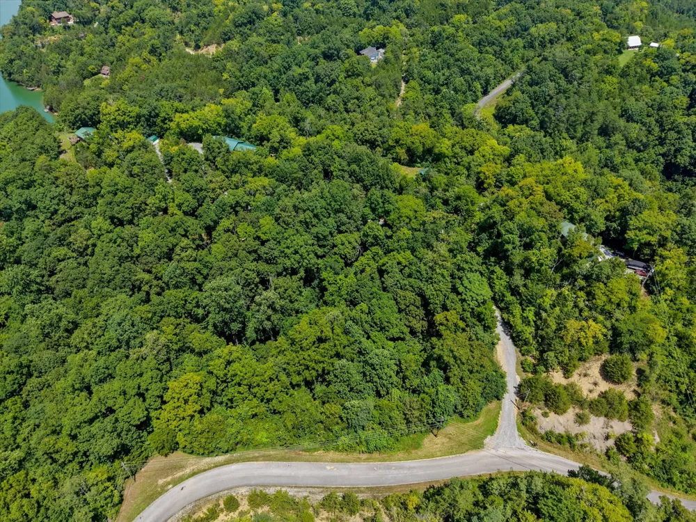 2649 Wildwood Rd Dandridge, TN 37725