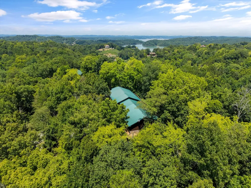 2649 Wildwood Rd Dandridge, TN 37725