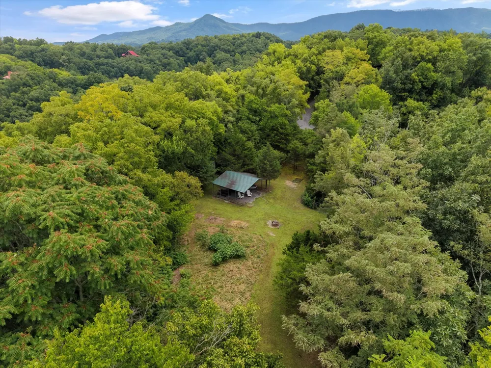 2649 Wildwood Rd Dandridge, TN 37725