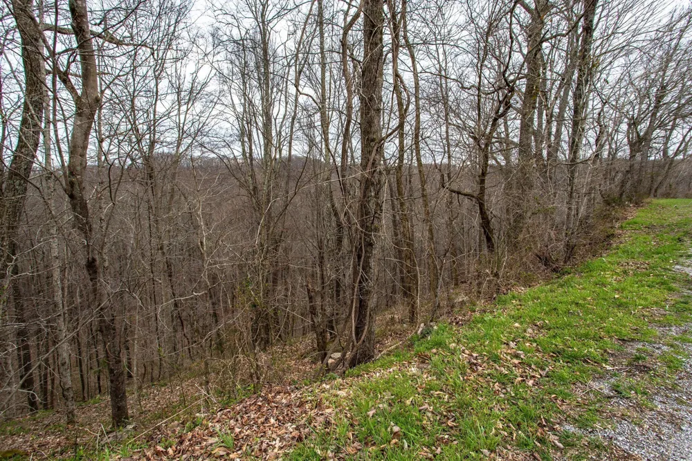 0 Coconut Ridge Rd Smithville, TN 37166