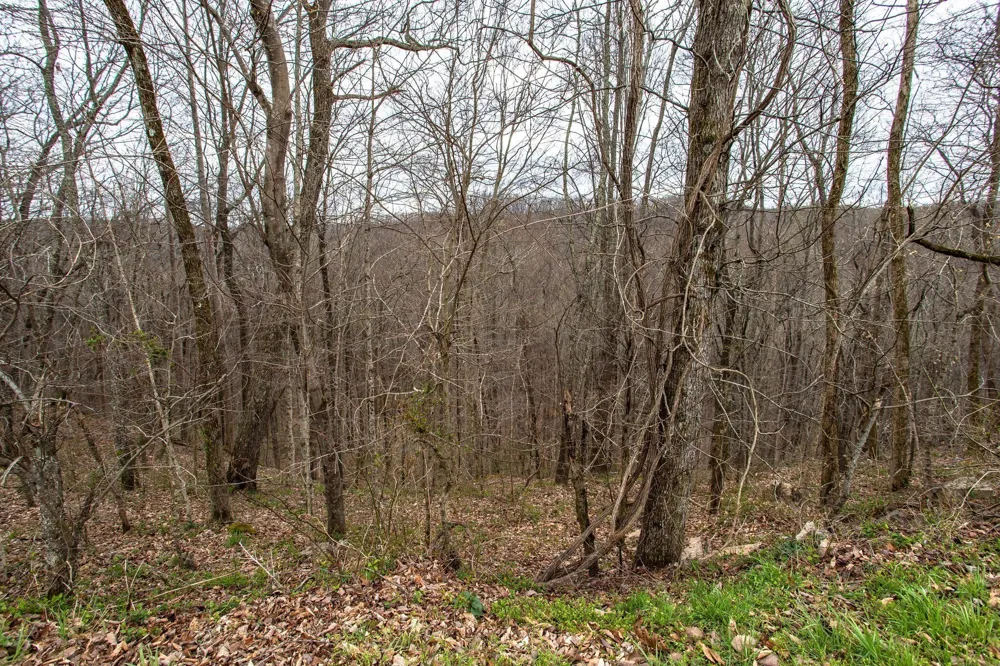 0 Coconut Ridge Rd Smithville, TN 37166