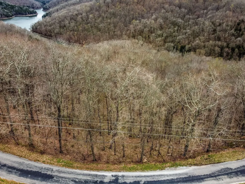 0 Coconut Ridge Rd Smithville, TN 37166