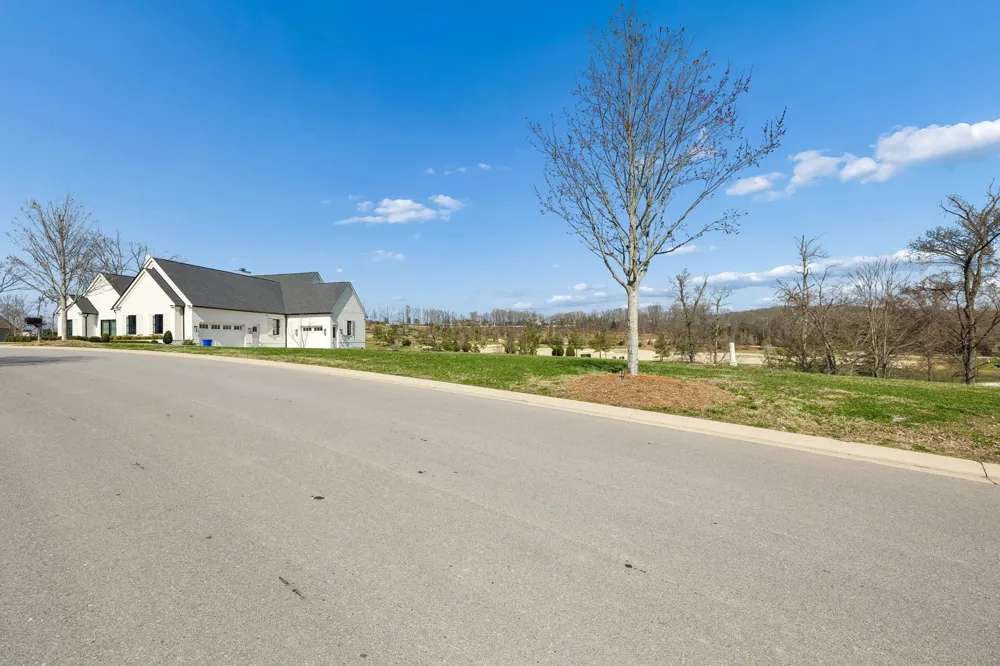 7085 Lanceleaf Dr College Grove, TN 37046