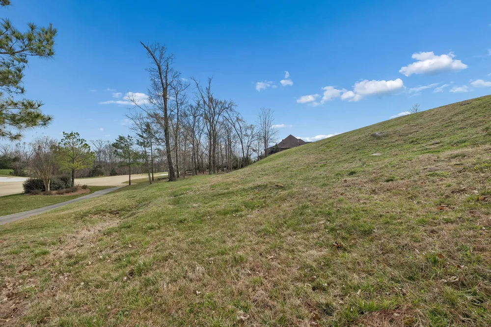 7085 Lanceleaf Dr College Grove, TN 37046