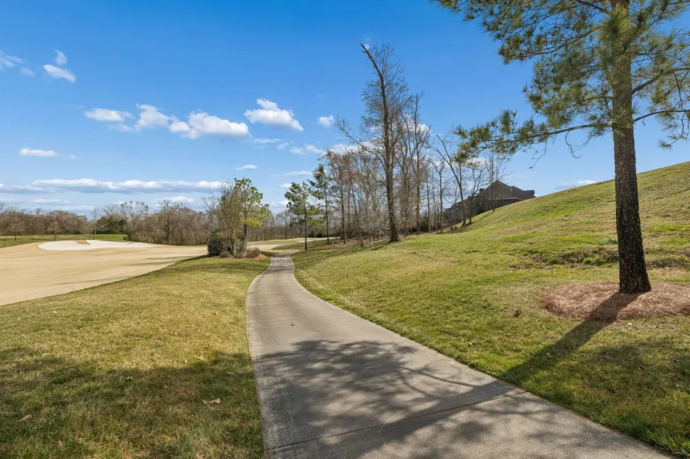 7085 Lanceleaf Dr College Grove, TN 37046