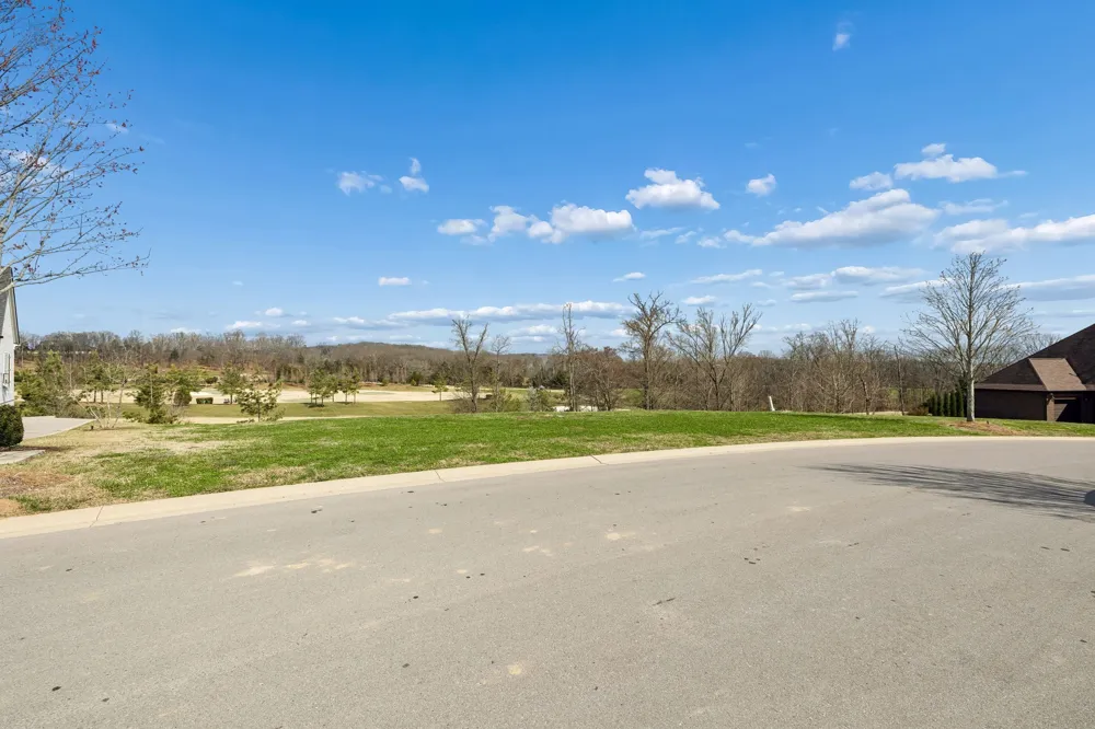 7085 Lanceleaf Dr College Grove, TN 37046
