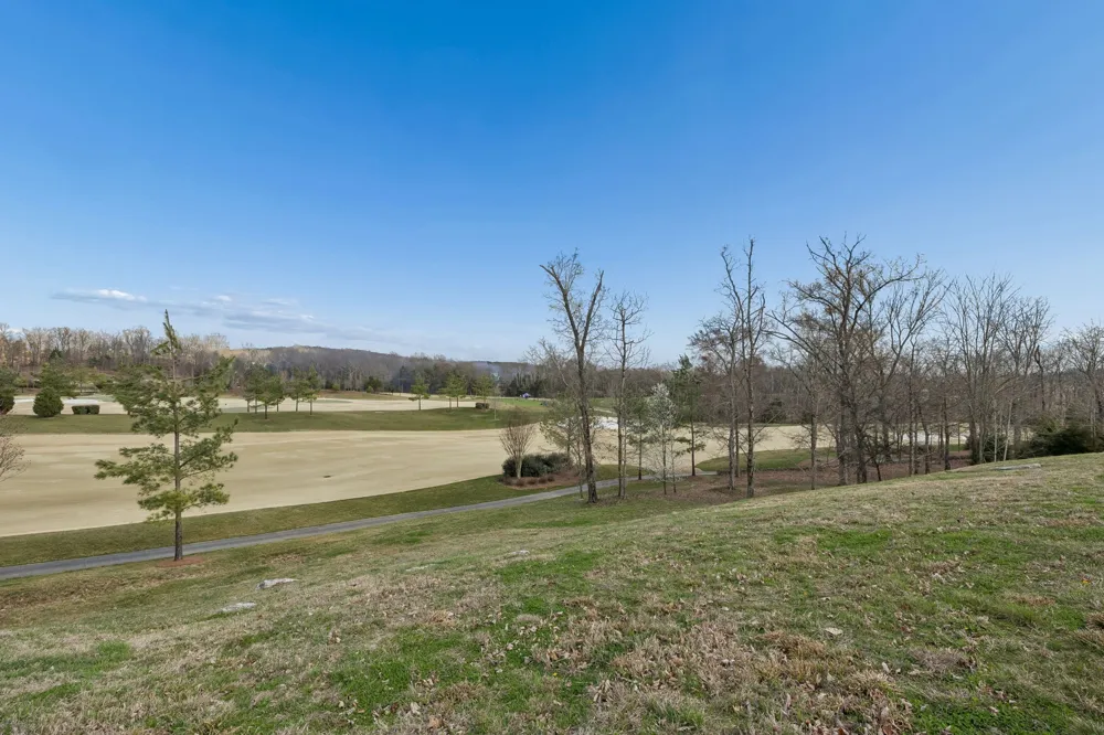7085 Lanceleaf Dr College Grove, TN 37046