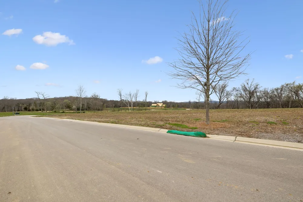 8410 Six String Drive College Grove, TN 37046