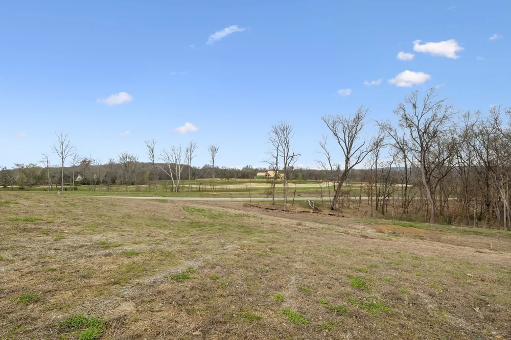 8410 Six String Drive College Grove, TN 37046