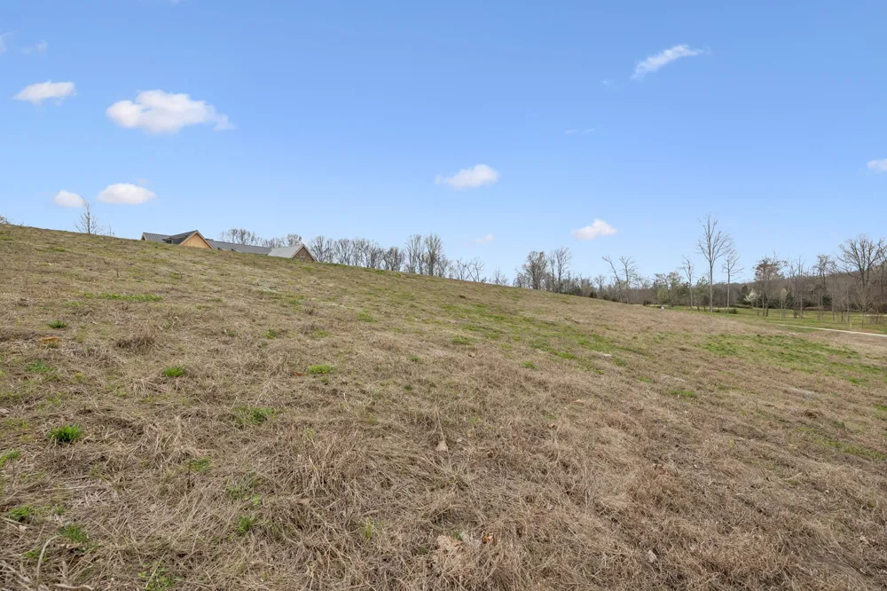 8410 Six String Drive College Grove, TN 37046
