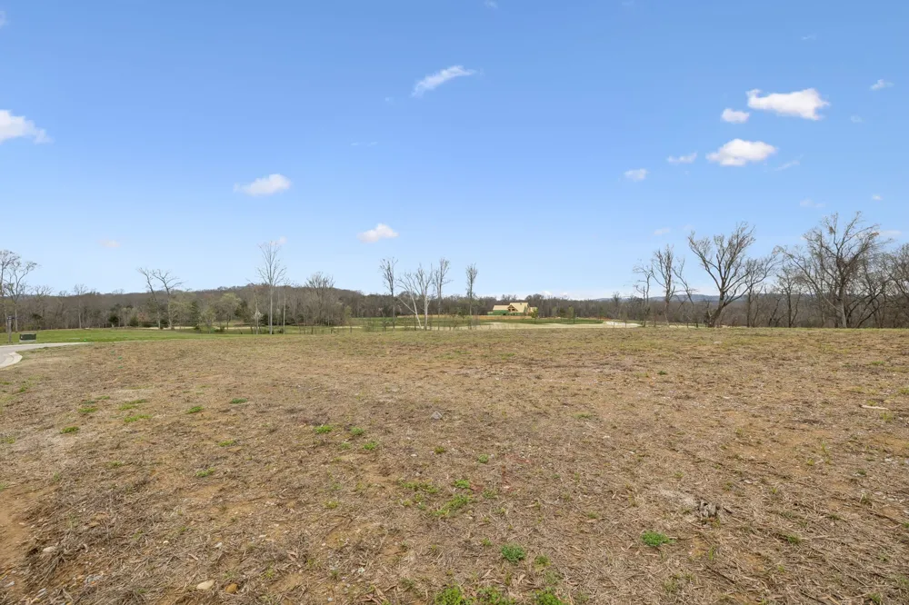 8410 Six String Drive College Grove, TN 37046
