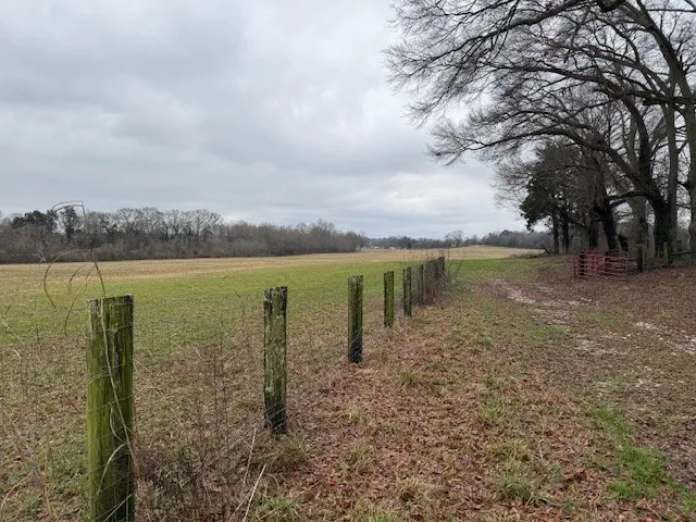 1 Beth Page Rd Estill Springs, TN 37330