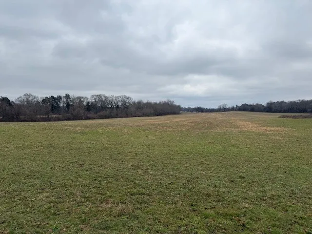 1 Beth Page Rd Estill Springs, TN 37330