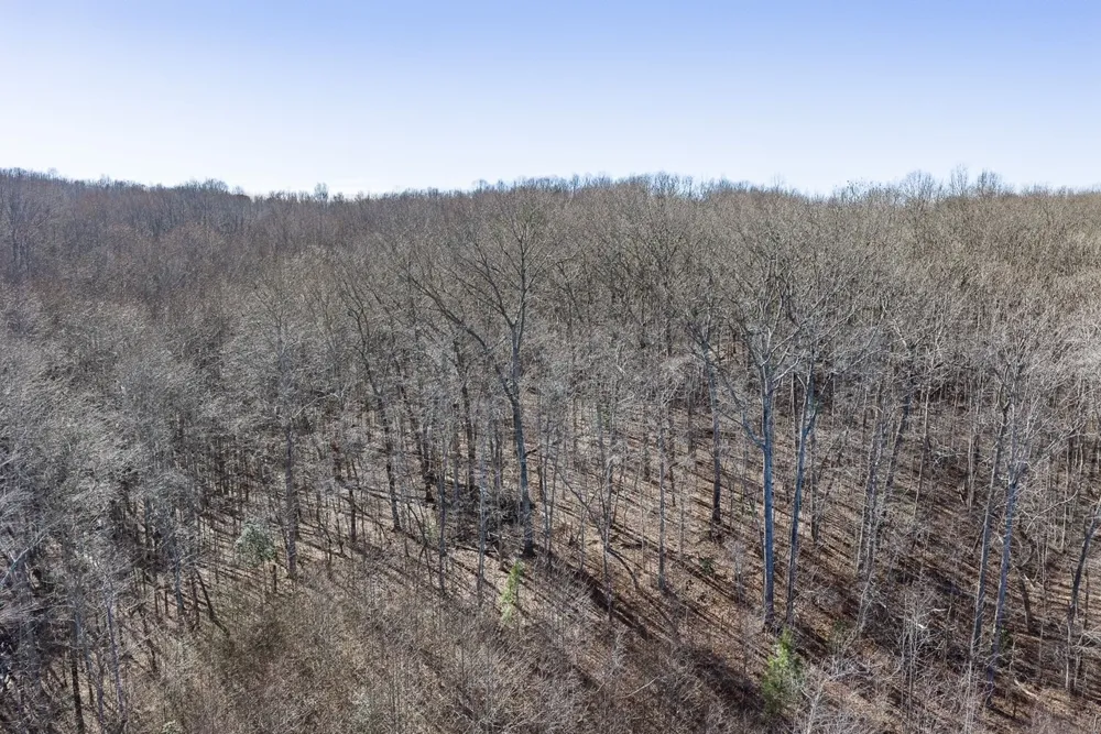 0 Old Altamont Rd Tracy City, TN 37387