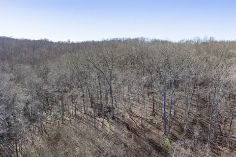 0 Old Altamont Rd