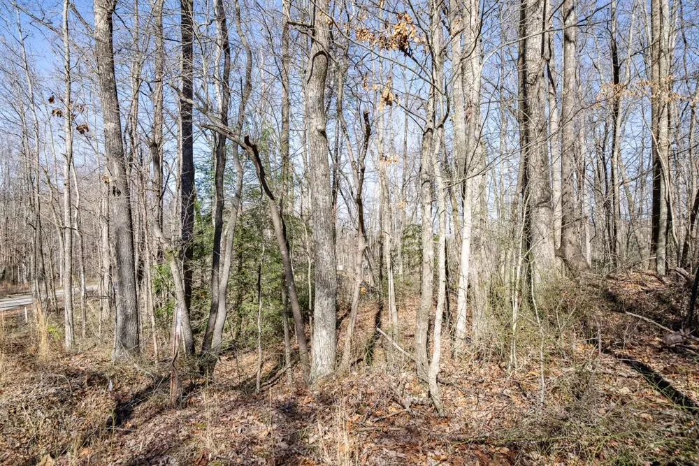 0 Old Altamont Rd Tracy City, TN 37387