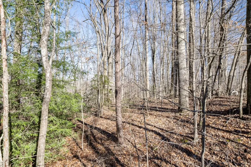 0 Old Altamont Rd Tracy City, TN 37387