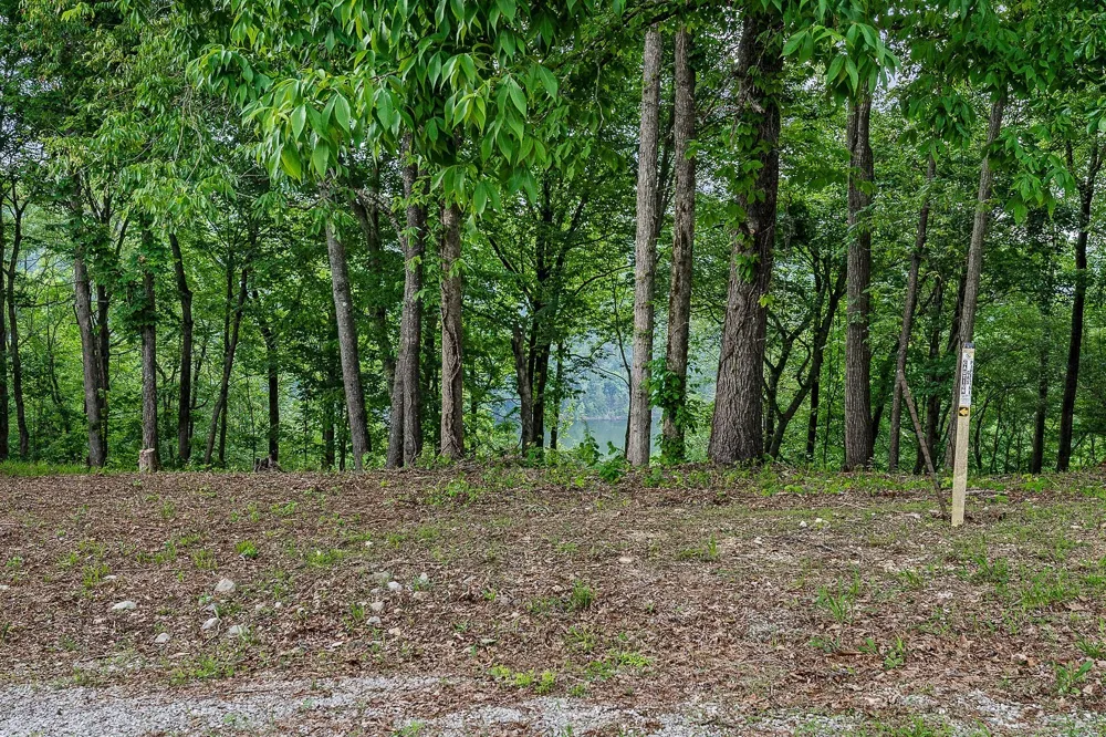 19 Summer Breeze Dr Smithville, TN 37166
