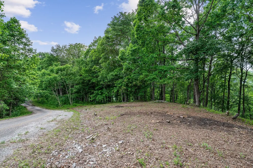 19 Summer Breeze Dr Smithville, TN 37166