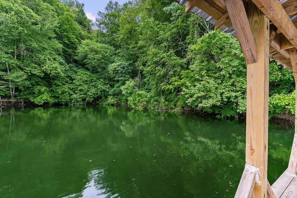 19 Summer Breeze Dr Smithville, TN 37166