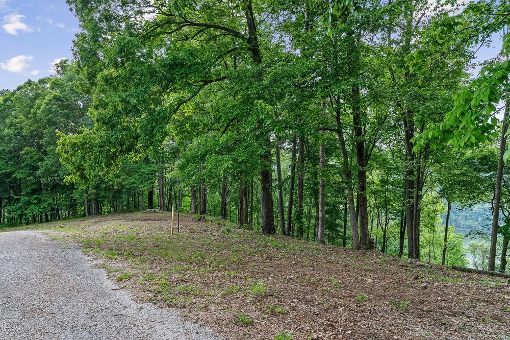 19 Summer Breeze Dr Smithville, TN 37166