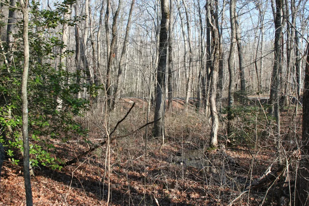 0 18th Avenue S Gruetli Laager, TN 37339