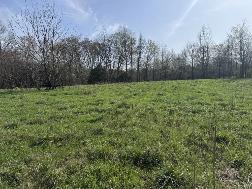 6080 Durhamville Rd Ripley, TN 38063
