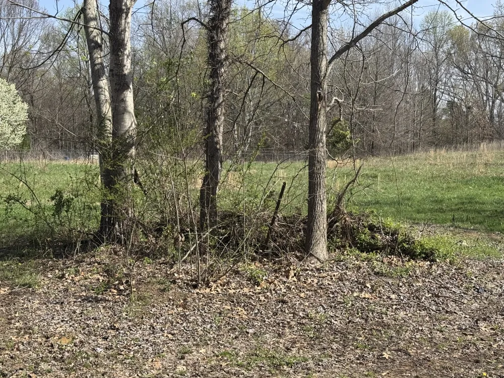 6080 Durhamville Rd Ripley, TN 38063