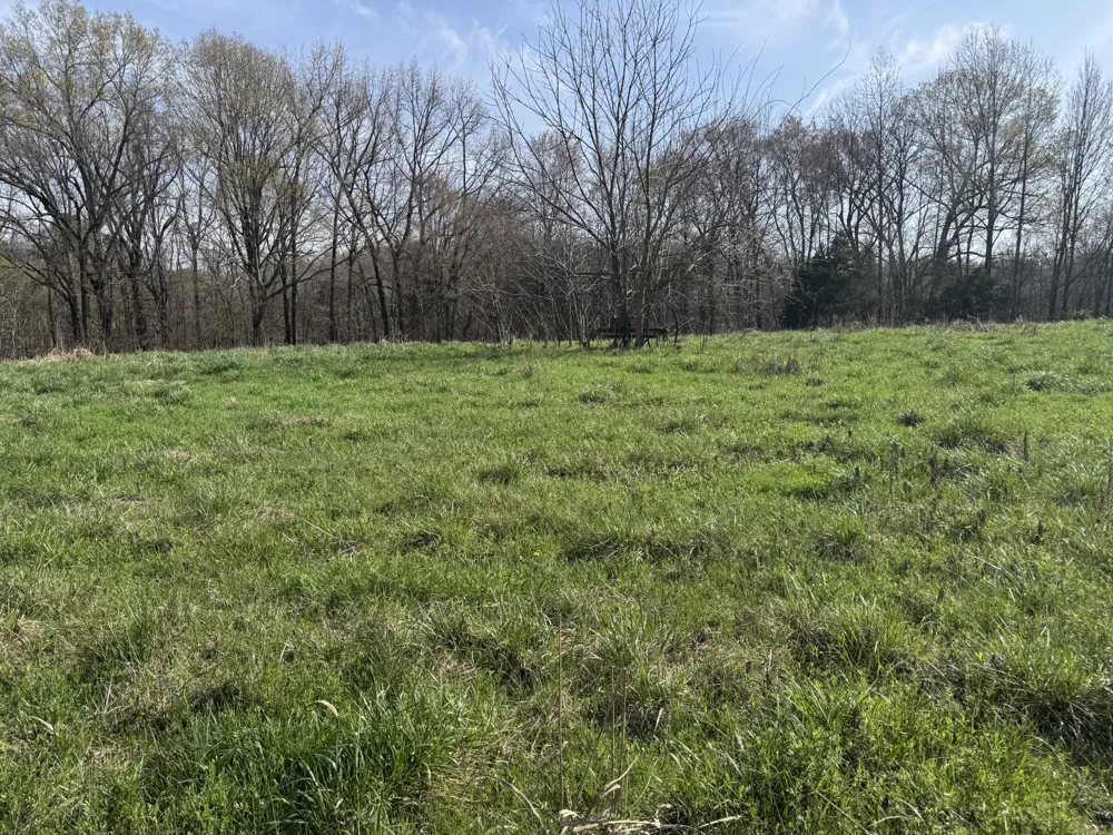 6080 Durhamville Rd Ripley, TN 38063