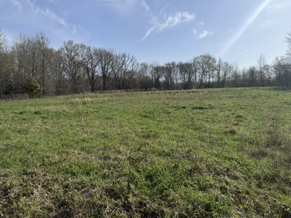 6080 Durhamville Rd Ripley, TN 38063