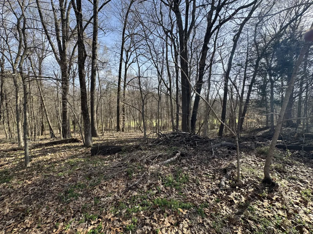 6080 Durhamville Rd Ripley, TN 38063