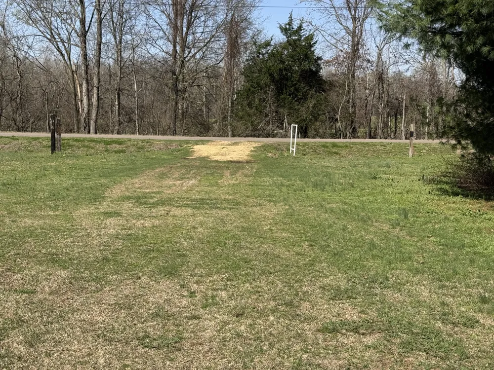 6080 Durhamville Rd Ripley, TN 38063