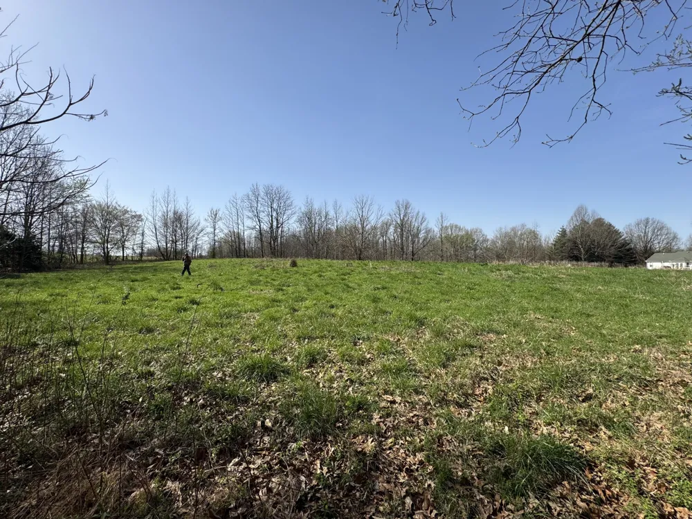 6080 Durhamville Rd Ripley, TN 38063