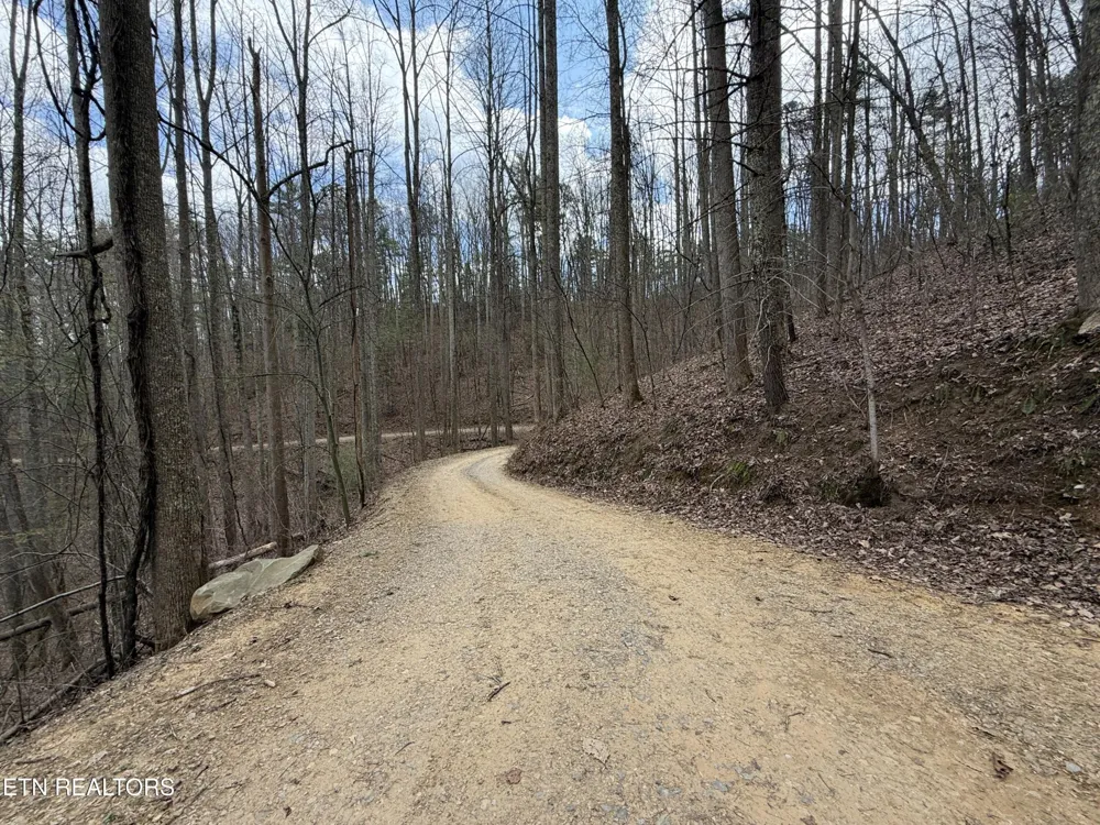 401 Reece Hollow Rd Del Rio, TN 37727
