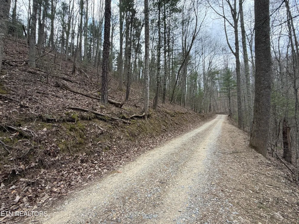 401 Reece Hollow Rd Del Rio, TN 37727