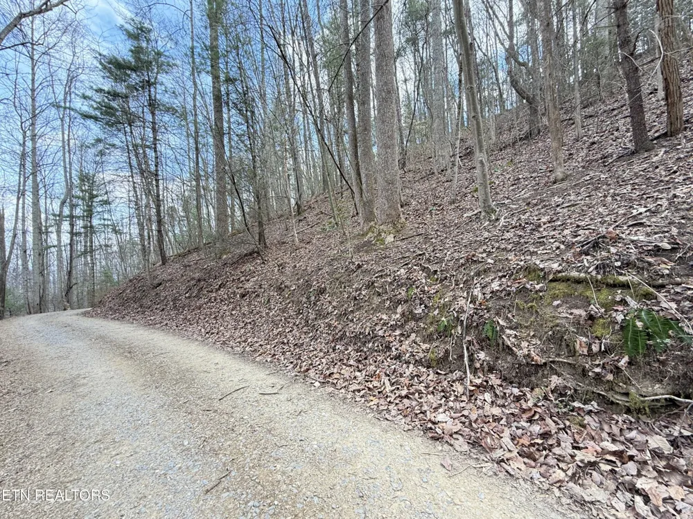 401 Reece Hollow Rd Del Rio, TN 37727