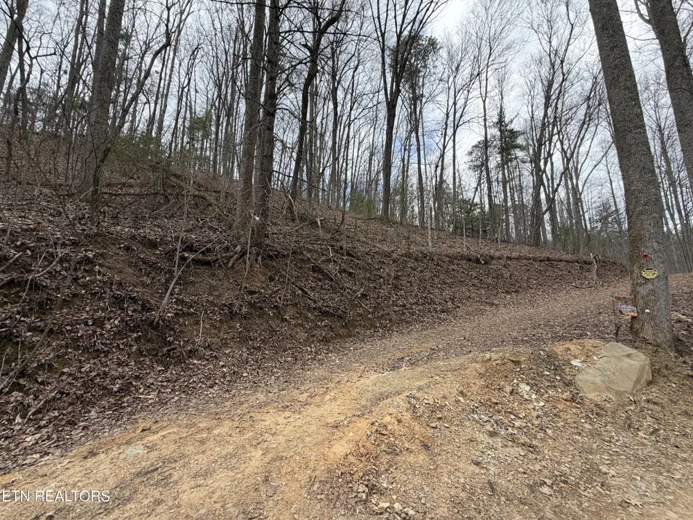 401 Reece Hollow Rd Del Rio, TN 37727