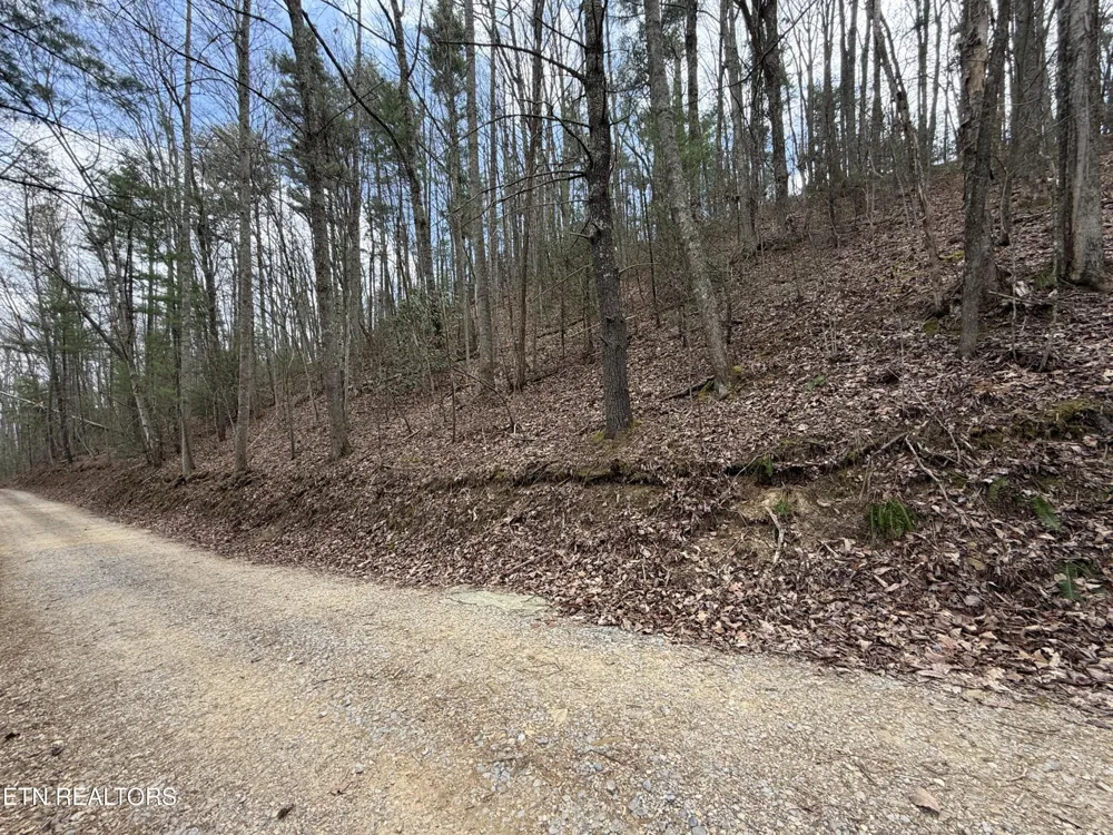401 Reece Hollow Rd Del Rio, TN 37727