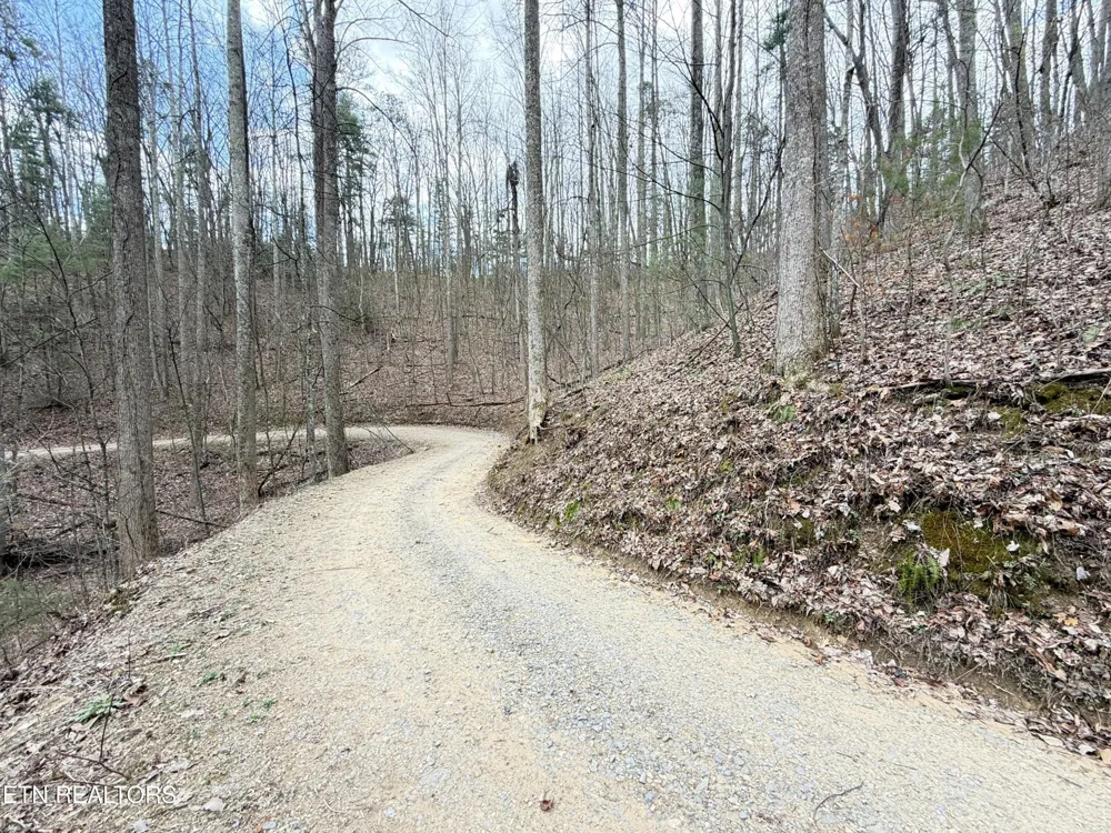 401 Reece Hollow Rd Del Rio, TN 37727