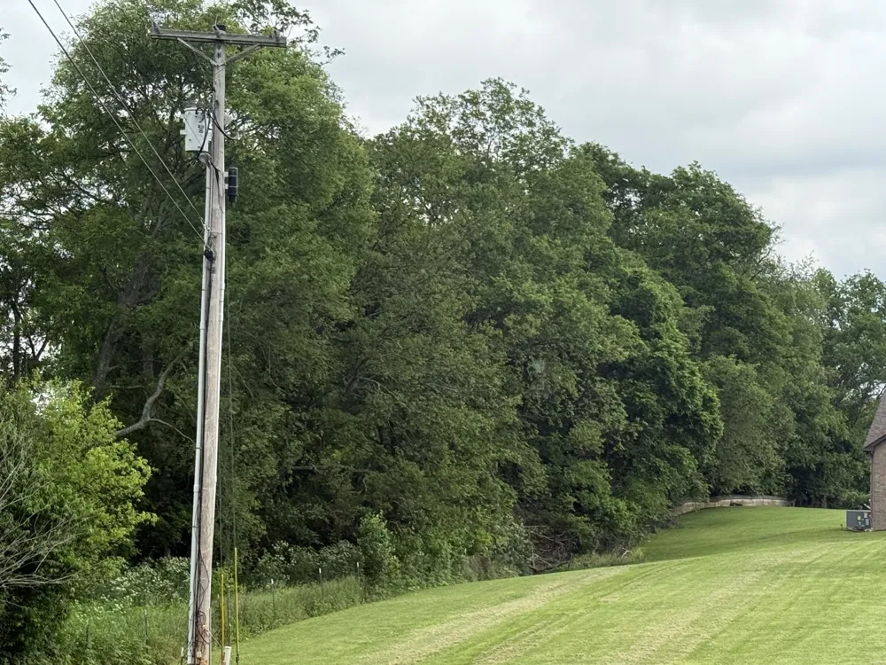 1024 Peak Dr Castalian Springs, TN 37031