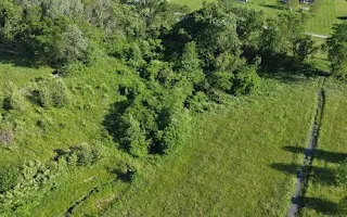 1024 Peak Dr Castalian Springs, TN 37031