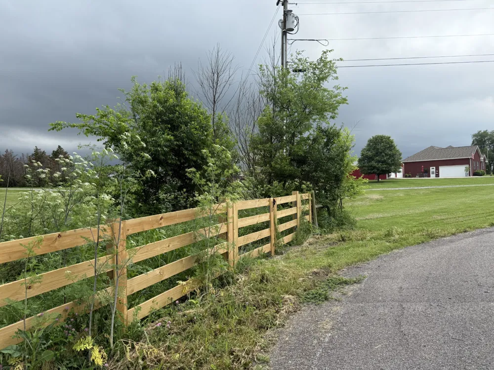1024 Peak Dr Castalian Springs, TN 37031
